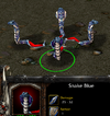 10.png