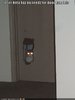 funny-pictures-cat-does-not-need-door-handles.jpg