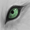 Wolf_Eye.jpg
