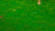 WC3ScrnShot_093024_220401_000.png