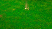 WC3ScrnShot_093024_220406_000.png
