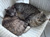 DSC02581.jpg