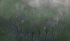 WC3ScrnShot_081309_012440_02.jpg