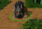 General.png