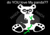 PANDA.jpg