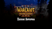 WC3ScrnShot_011425_162426_000.png
