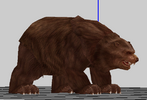bear.png