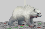 polarbear.png