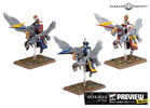 is-it-me-or-are-the-pegasus-knight-sculpts-the-same-as-in-v0-51ype01f84vb1 (1).jpg