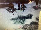 IMG_7835.jpeg