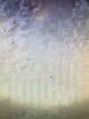 IMG_7836.jpeg