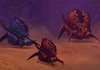 scarabs.jpg