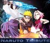 Naruto Tribute MP.JPG