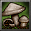BTNMushroom.png
