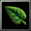 Move Leaf.jpg