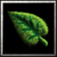 Move Leaf mini.jpg