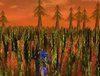 In the fields.JPG