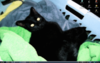 Desktop.png