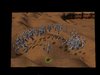 SilithidTentacleThings.jpg