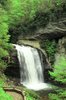 lookingglassfalls_web.jpg
