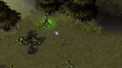 LichDemo.gif
