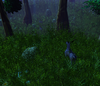 Terrain 2.png
