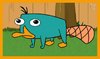Perry the Platypus.jpg