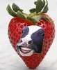 strawberry cow.jpg