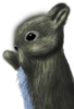 Epic bunny 2 no bg.png