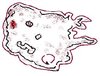 cell 1.jpg