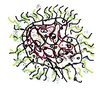 cell 2.jpg