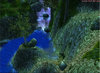waterfallagain.jpg