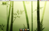 Screenshot-1.png