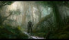 forest_by_wanbao.jpg forest_by_wanbao.jpg