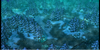 SnowPlaceUpdate.png