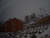 Shnow.png