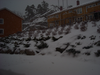 Shnow2.png