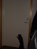 Kitteh wantz lazoor.png