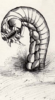 RefpicWorm.png RefpicWorm.png