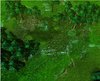 lostgrove3.jpg