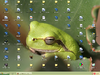 desktop.png
