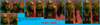 OrcFacialHair.png