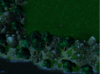 terrain.png