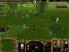 WC3ScrnShot_040410_151943_11.jpg