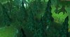 Dark Forest.jpg