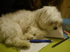 DSC00155.jpg