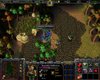 WC3ScrnShot_041210_210649_22.jpg