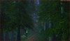 MountainForest1.JPG