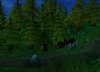 Forest1.jpg