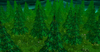 firsteverterrain.png